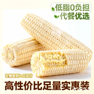 东北有机白糯玉米10根装黄糯玉米组合装真空包装甜糯玉米加热即食