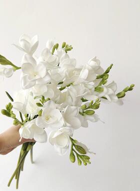 彷妆PU玉簪花水仙手感彷真花花束摆件客厅餐桌假花摆花轻奢小苍兰