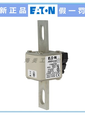 Bussmann 熔断器 170M4762 4766 4767 4768 4770 4771保险丝 690V
