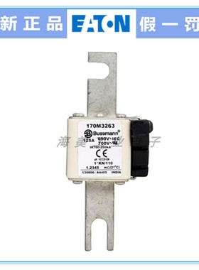 Bussmann熔断器 170M3263 3264 3265 3266 3267 3268 3273保险丝