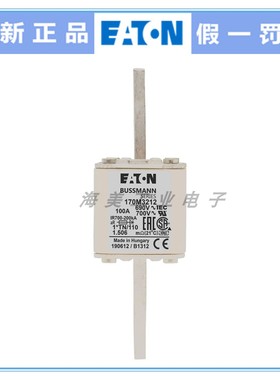 Bussmann 熔断器 170M3212 3214 3215 3216 3217 3219 3223保险丝