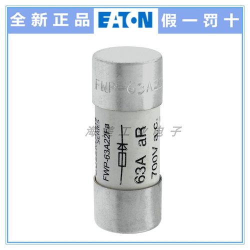 BUSSMANN 熔断器 FWP-63A22Fa 20A25A32A40A50A63A80A100A保险丝