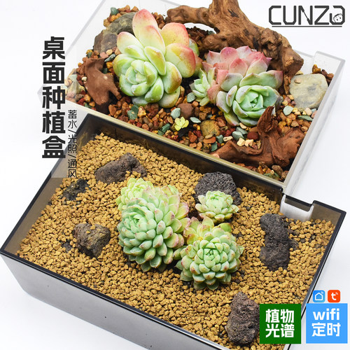 全光谱喷雾育苗亚克力透明种植盒