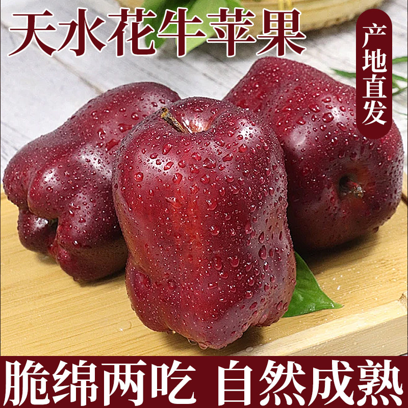 甘肃天水花牛苹果新鲜粉面香甜果肉丰厚一果两吃宝宝辅食刮泥老人,水产肉类/新鲜蔬果/熟食,苹果,淘宝优惠券,粉丝福利购,淘宝优惠卷