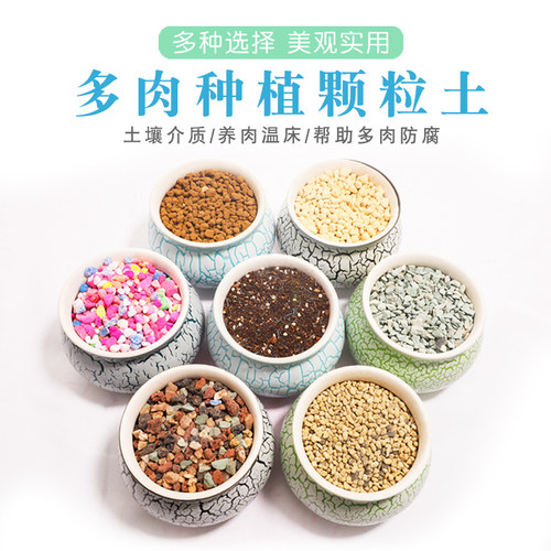多肉植物颗粒土垫底黄金麦饭石