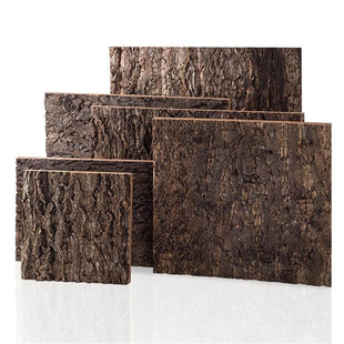 CM爬宠饲养箱玻璃爬虫箱雨林缸造景守宫蜥蜴蛇类爬箱树皮背景板