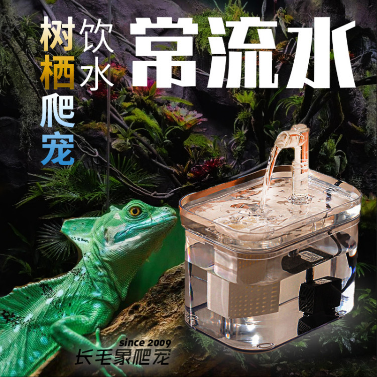 自动循环爬宠饮水器蜥蜴伞蜥蜴斑帆蜥珠宝蜥蜴专用常流水饮水装置