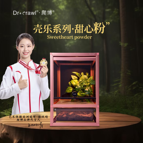 Dr爬博壳乐系列爬宠通风防逃设计