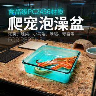 爬宠多巴胺泡澡水盆 加厚耐用食品级材质乌龟蜥蜴守宫蛇类泡澡盆