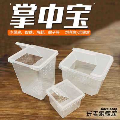 迷你饲养盒便携掌中宝观察运输盒