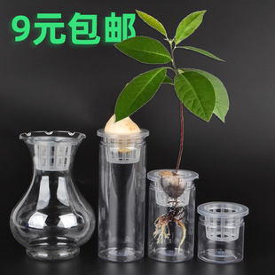 水培牛油果榴莲菠萝蜜龙眼芒果塑料瓶子果核种植容器花盆水培器皿