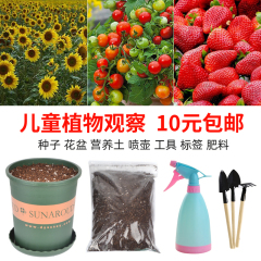 儿童工具组合花盆营养土肥料幼儿园植物观察种植实验记录卡本种子