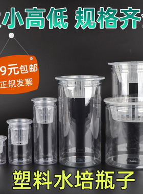 透明塑料水培花盆圆柱瓶定植篮豆子种子多肉荔枝蔬菜红薯器皿容器