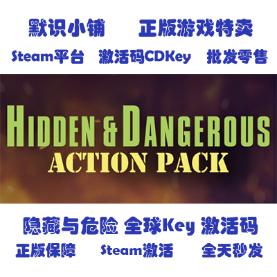 steam正版 Hidden Dangerous: Action Pack 隐藏与危险1全球key