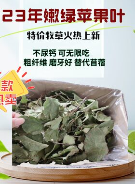 特价苹果枝嫩叶毛重1kg可替提草苜蓿草兔子粮草豚鼠干草龙猫牧草