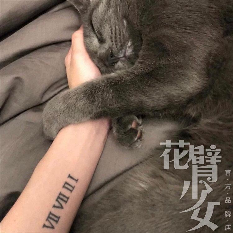 花臂少女tattoo z60 罗马数字1到10字符手臂纹身贴刺青 一张3组