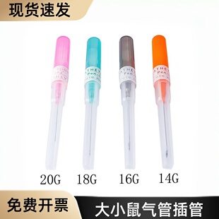 大小鼠气管给药插管气管导管呼吸辅助实验动物给药滴注带金属芯