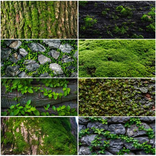 鱼缸背景贴纸水族箱造景装饰画