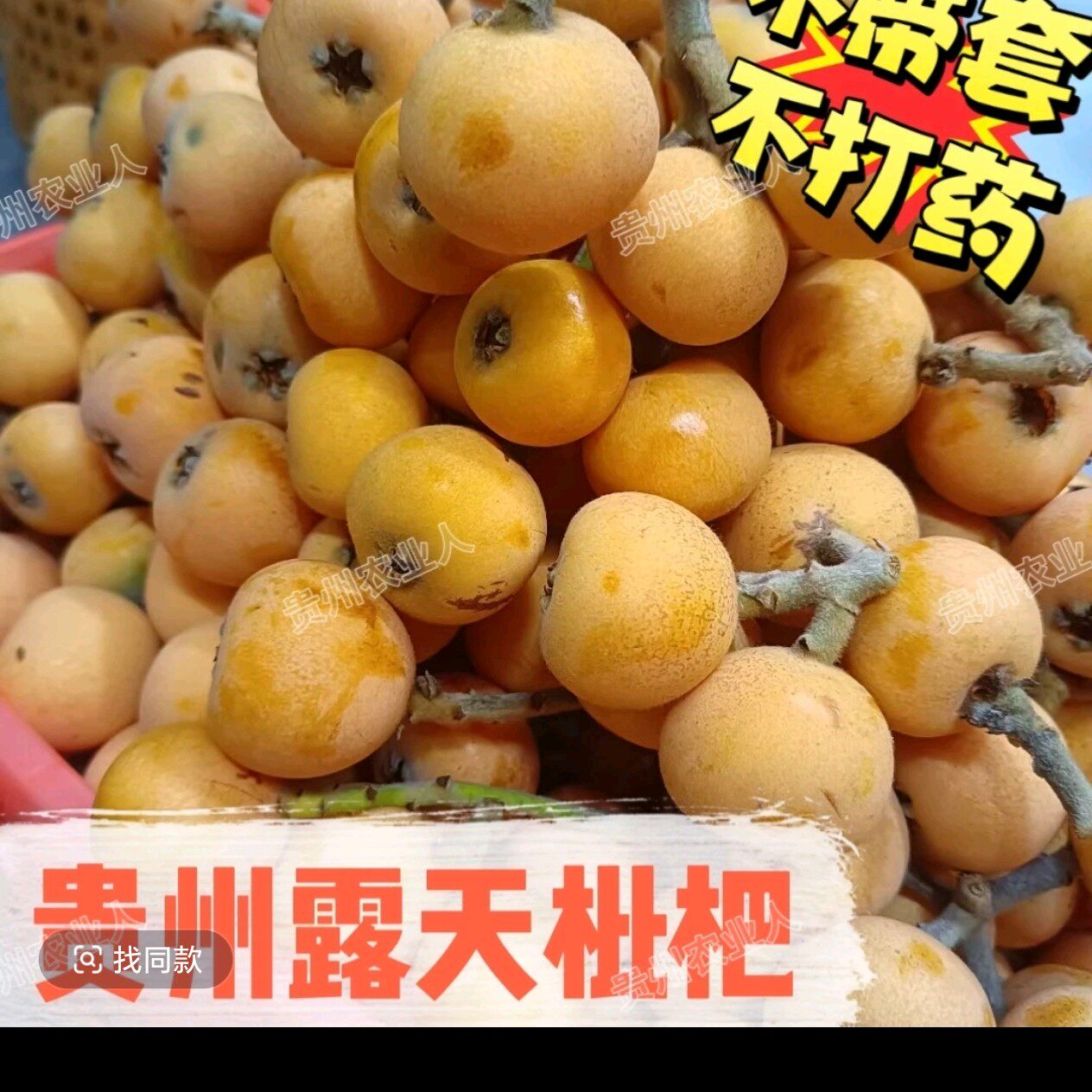 枇杷贵州深山老树土枇杷野生新鲜当季水果5斤现摘五星琵琶鲜包邮