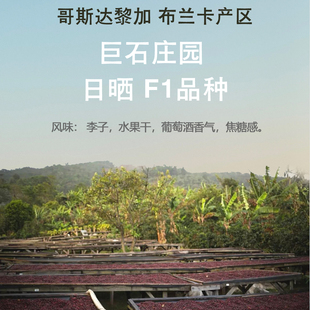 新品 哥斯达黎加 巨石庄园日晒 F1品种咖啡豆227g 黑金限定批次