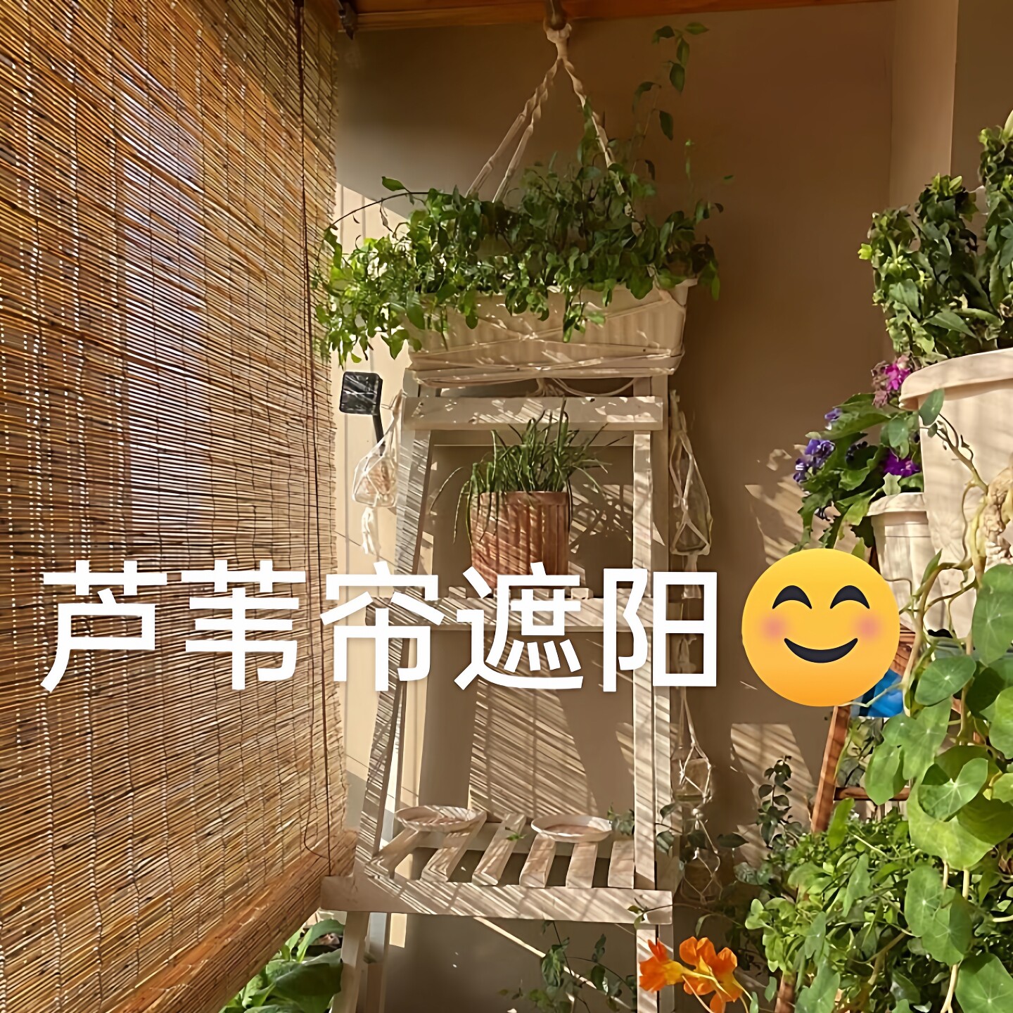 美家帘卷帘遮光帘子客厅卧室窗帘遮阳帘子阳光房茶室酒楼装修装饰