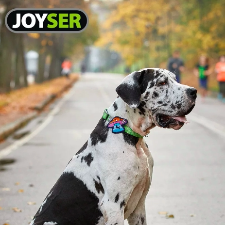 zeex俄罗斯Joyser狗狗项圈胸背牵引绳外出遛狗绳可替换小中大型犬