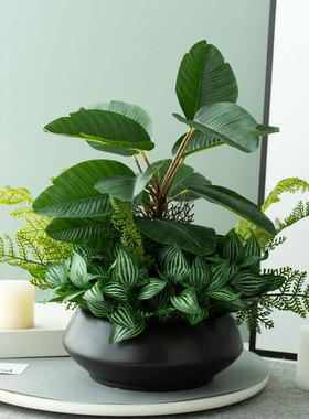 高品质仿真花假绿植高级感桌面摆件客厅餐桌电视柜玄关装饰品盆栽