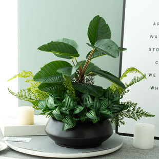 高品质仿真花假绿植高级感桌面摆件客厅餐桌电视柜玄关装饰品盆栽