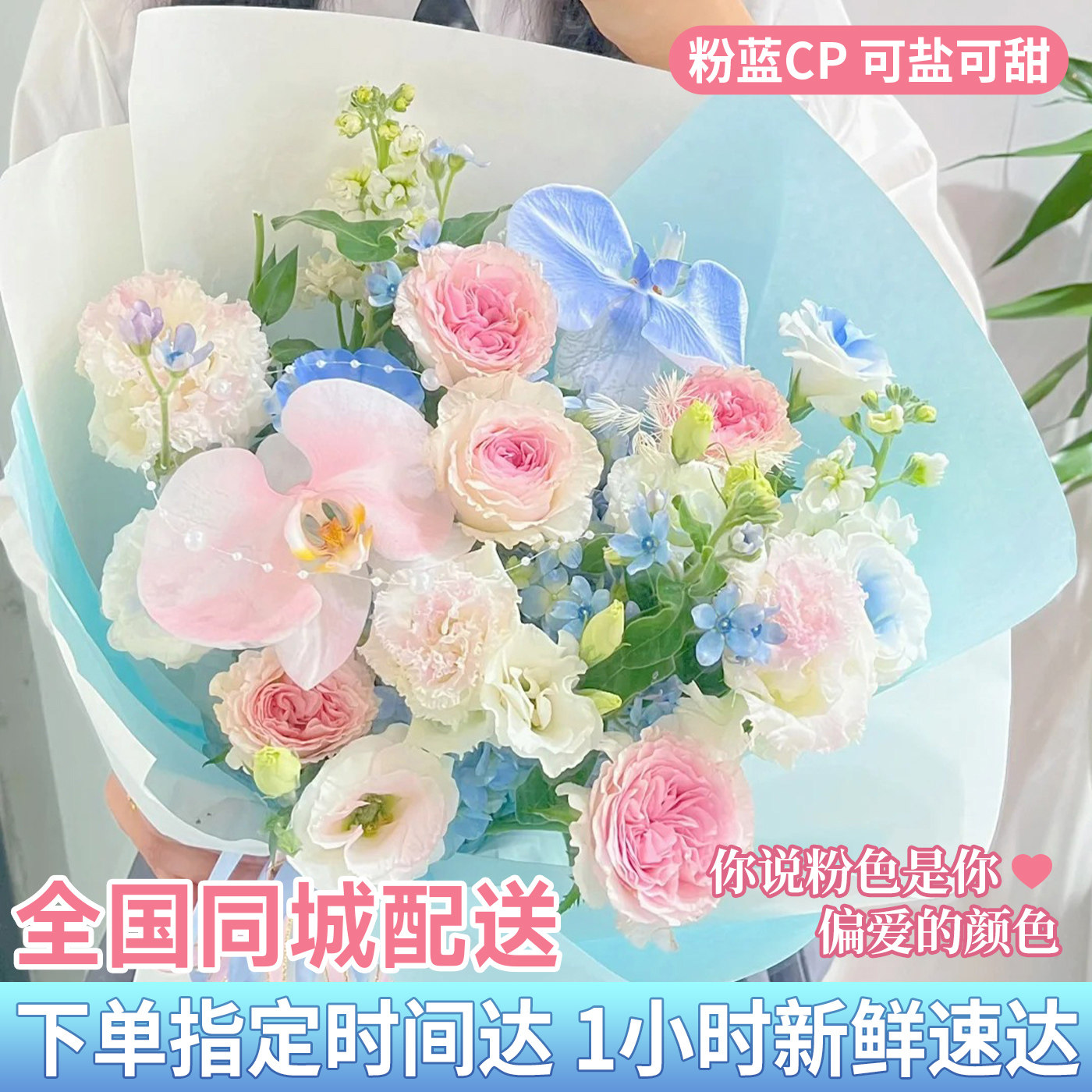 粉蓝色玫瑰蝴蝶兰郁金香花束鲜花速递同城北京女友闺蜜生日配送店