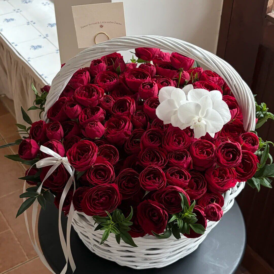 全国鲜花速递红蕾丝仙子之吻玫瑰花束生日求婚速递同城成都上海店