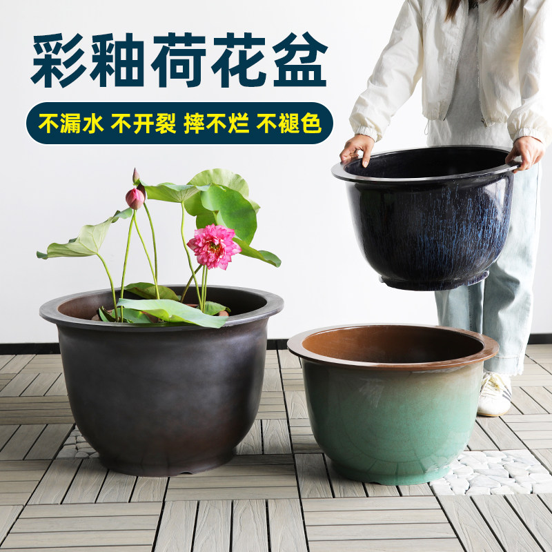 塑料水缸中式户外庭院荷花睡莲养殖盆大号花盆家用大号圆形水培盆