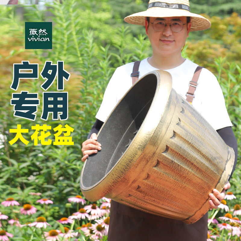 大花盆高款加深花盆庭院种铁树