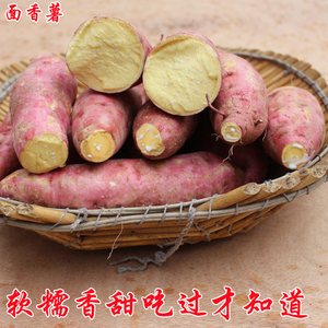 山东红薯黄心大地瓜新鲜番薯沙地山芋农家自种现挖新货蒸煮烤均可
