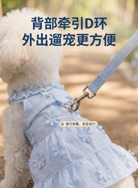 狗狗衣服田园花边领牵引连衣裙公主风猫咪衣服中小型犬宠物裙子