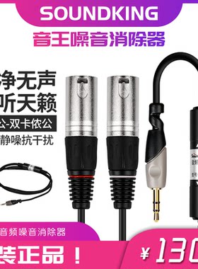 Soundking/音王B37音频隔离器抗干扰消音器3.5转双卡农公线