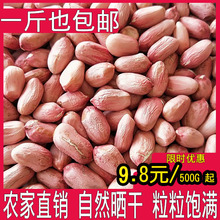 山东生花生米生新5斤大粒花生新货自产新散装花生仁油炸养胃零食