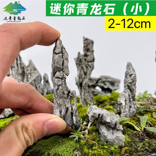 盆景青龙石小块酸洗微观草缸造景石自然苔藓缸迷你型摆件小假山石