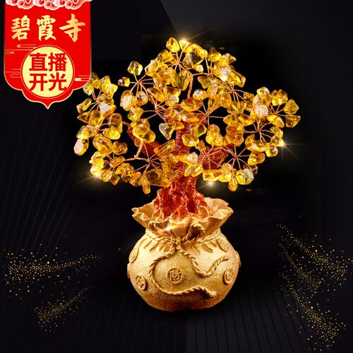 风水金钱树质量怎么样 风水金钱树口碑怎么样 小麦优选