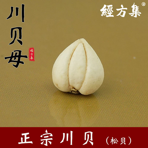 【经方集】川贝母中药材松贝形似观音坐莲怀中抱月四川产川贝10g