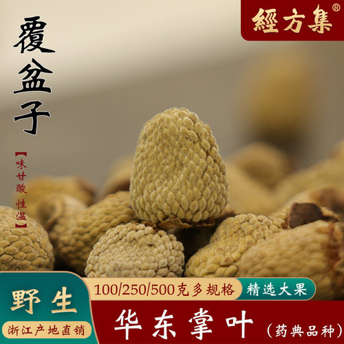 中药材掌叶覆盆子浙江野生近成熟