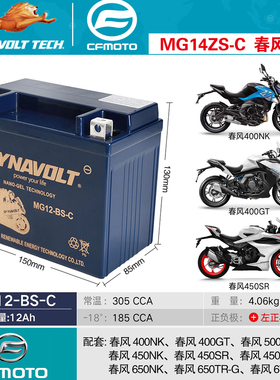 春风原厂电瓶MG12-BS 400GT450650NK500SR675SR-S650TR-G猛狮电池