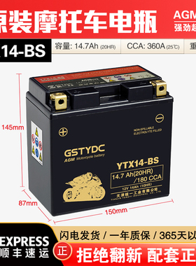 YTX14-BS宝马水鸟拿铁F700F800R1250GS大阳V锐ADV赛科龙RX3S电瓶