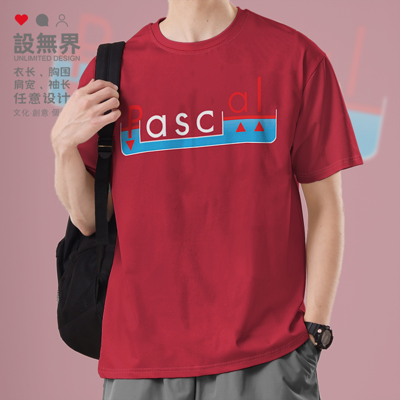 布莱士帕斯卡BlaisePascal帕T恤