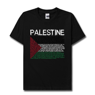 巴勒斯坦纯棉短袖T恤男女上衣Palestine国家队服学生夏装设 无界