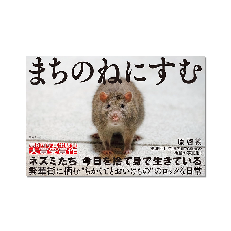 野鼠预警 写真集 まちのねにすむ 摄影老鼠照片书 原啓義 原启义老鼠摄影作品集