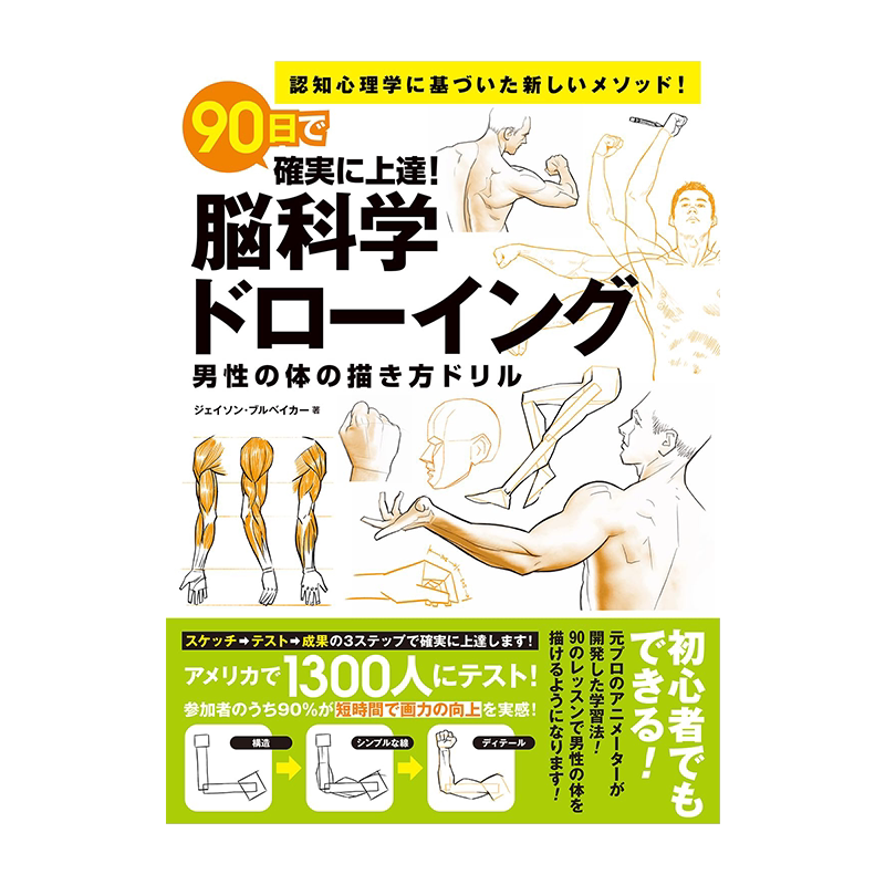 进口原版男性身体的画法