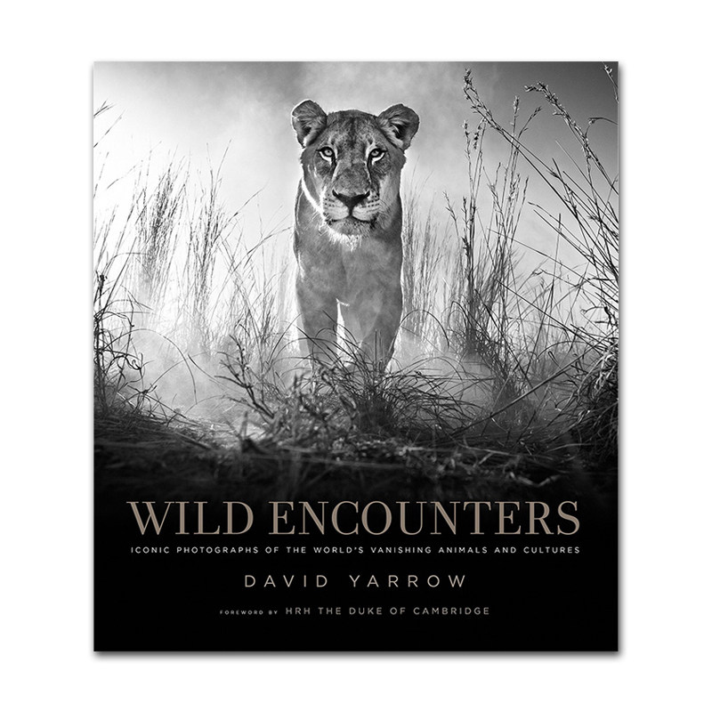 现货原版 Wild Encounters 世界消失的动物和文化的标志性照片 野生遭遇 David Yarrow大卫·亚罗摄影集
