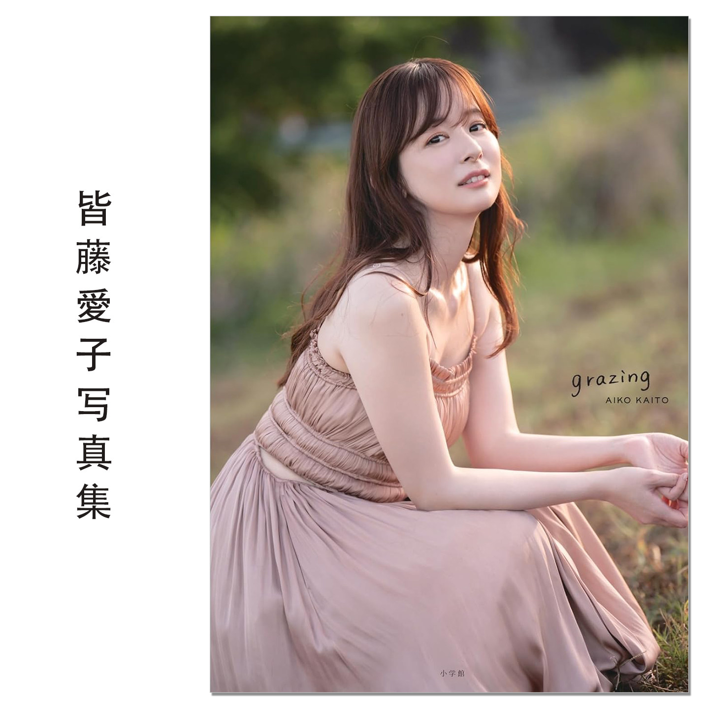皆藤愛子写真集 grazing 放牧 主持人播音员皆藤爱子写真集 AIKO KAITO
