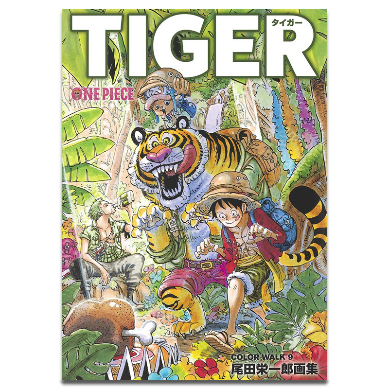 航海王 海贼王 ONEPIECEイラスト集 COLORWALK 9 TIGER