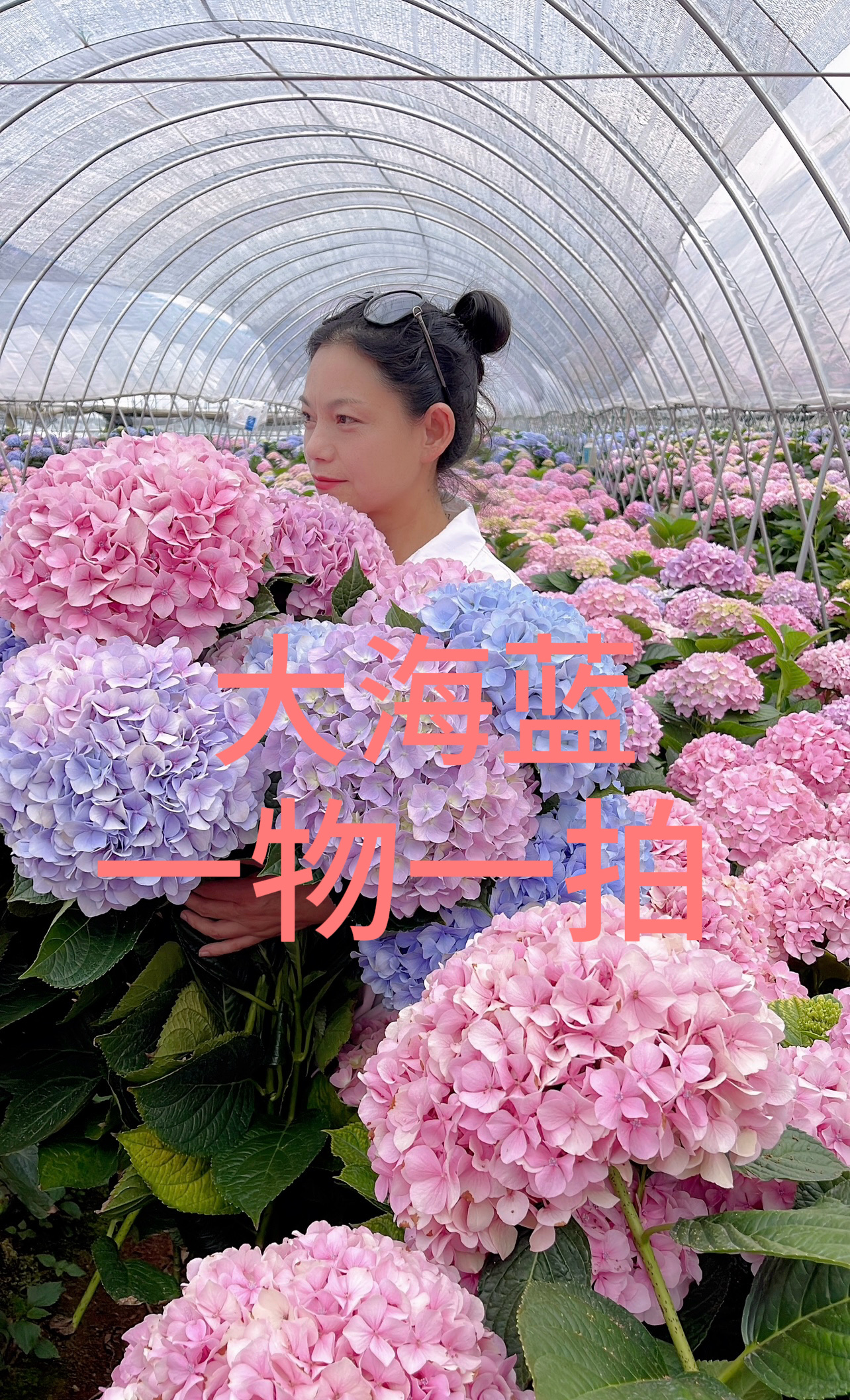 一物一拍 选你所爱